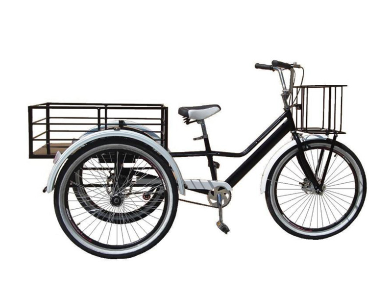 bici2 bici2