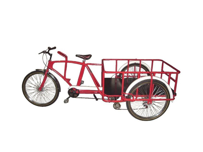 bici8 bici8